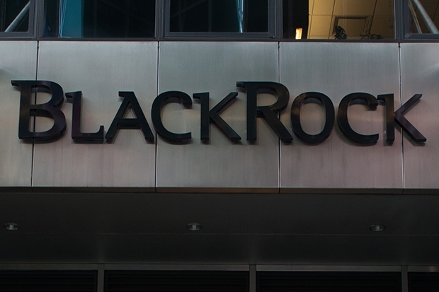 BlackRock Gibt Stewardship-Prioritäten 2020 Bekannt | Märkte | 19.03. ...